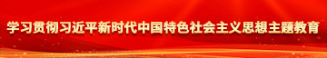 欧美女被操网站学习贯彻习近平新时代中国特色社会主义思想主题教育